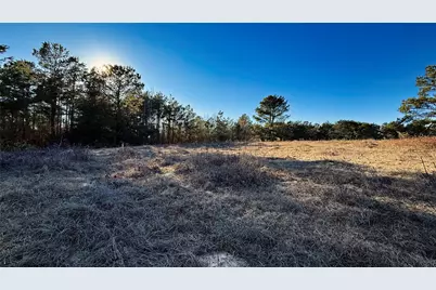 Tbd #10 County Road 477, Henderson, TX 75654 - Photo 9