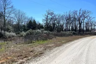 Lot 31 Cr 389, Jewett, TX 75846 - Photo 3