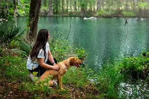 22423 Sawmill Pass Ln, Porter, TX 77365 - Photo 29