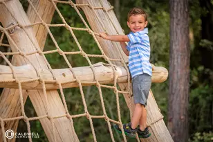 22423 Sawmill Pass Ln, Porter, TX 77365 - Photo 31