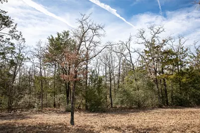 12899 Young Lane, Carmine, TX 78932 - Photo 15