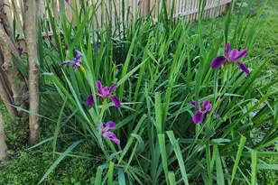 146 Creekside Dr, Onalaska, TX 77360 - Photo 47