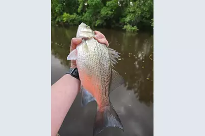 146 Creekside Drive, Onalaska, TX 77360 - Photo 45