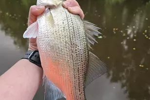 146 Creekside Dr, Onalaska, TX 77360 - Photo 45