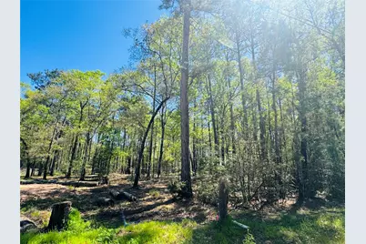 0 Creekbend Drive, Plantersville, TX 77363 - Photo 7