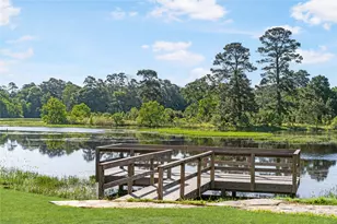 42663 Reminiscent Ln, Magnolia, TX 77354 - Photo 31