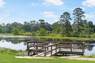 42663 Reminiscent Ln, Magnolia, TX 77354 - Photo 39