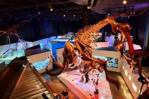 2010 St Charles St, Houston, TX 77003 - Photo 35