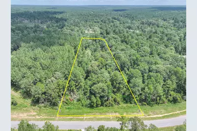 15976 Forest Mill Road, Willis, TX 77378 - Photo 1