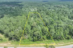 15976 Frst Ml Rd, Willis, TX 77378 - Photo 1