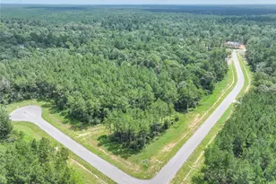 15976 Frst Ml Rd, Willis, TX 77378 - Photo 11