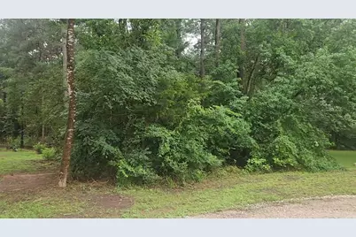 1017 Weeping Willow Drive, Plantersville, TX 77363 - Photo 7