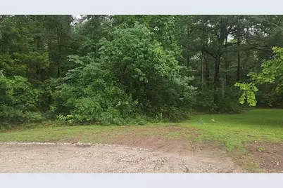 1017 Weeping Willow Drive, Plantersville, TX 77363 - Photo 11