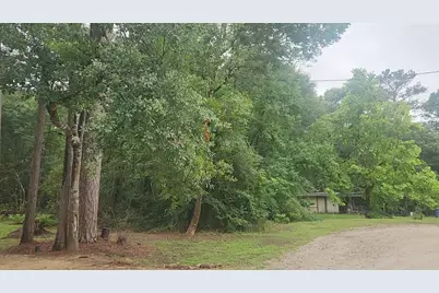 1017 Weeping Willow Drive, Plantersville, TX 77363 - Photo 3