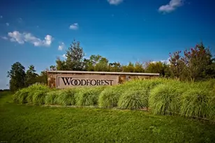125 Pilazzo St, Montgomery, TX 77316 - Photo 41