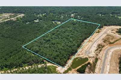 12509 Crockett Martin Road, Conroe, TX 77306 - Photo 9