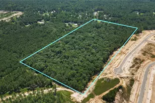12509 Crockett Martin Rd, Conroe, TX 77306 - Photo 9