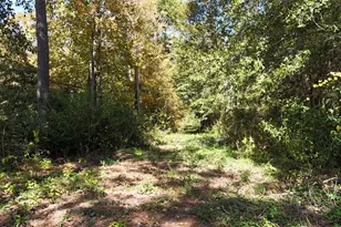 13720 Hwy 59, Splendora, TX 77372 - Photo 13