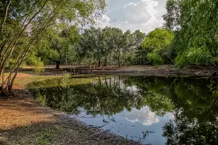 Tract 6 Sun Oil Rd, Brenham, TX 77833 - Photo 1