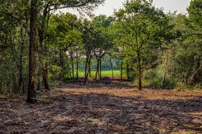 Tract 6 Sun Oil Road, Brenham, TX 77833 - Photo 5