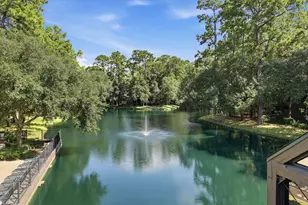 119 Litchfield Ln, Houston, TX 77024 - Photo 27