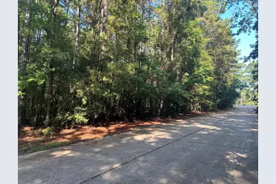 Lot 16 Forse Street, Woodville, TX 75979 - Photo 3