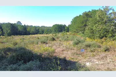 Tract #20 Vineyard View Trail, Grapeland, TX 75844 - Photo 11