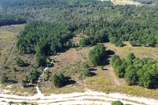 Tract #20 Vineyard View Trail, Grapeland, TX 75844 - Photo 1