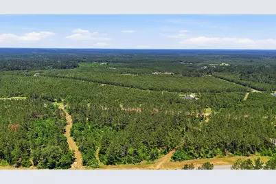 15388 Forest Grove Drive, Willis, TX 77378 - Photo 3