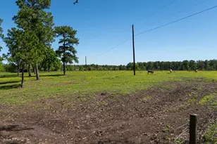 20277 FM 1791, Richards, TX 77873 - Photo 33