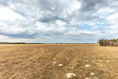 Tract 1 Wiese Road, Bellville, TX 77418 - Photo 5