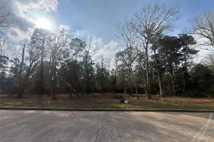 1742 Woodway Dr, Woodbranch, TX 77357 - Photo 1