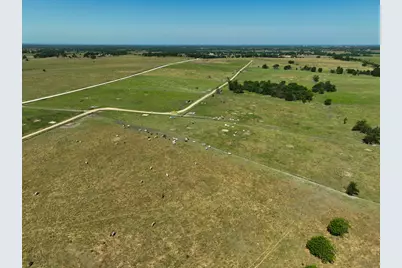 Tract #6 Cr 305 Road, Navasota, TX 77868 - Photo 3