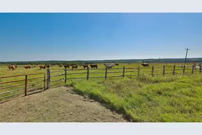 Tract #6 Cr 305 Road, Navasota, TX 77868 - Photo 9