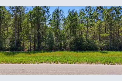 15979 Wood Grove Way, Willis, TX 77378 - Photo 9