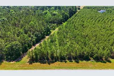 15979 Wood Grove Way, Willis, TX 77378 - Photo 1