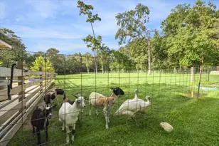 19215 Veterans Rd, Magnolia, TX 77355 - Photo 45