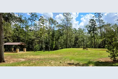 284 Iron Horse Road, New Waverly, TX 77358 - Photo 13