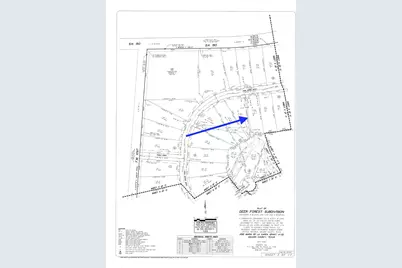 284 Iron Horse Road, New Waverly, TX 77358 - Photo 3