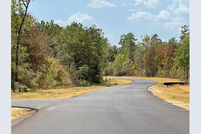 284 Iron Horse Road, New Waverly, TX 77358 - Photo 3