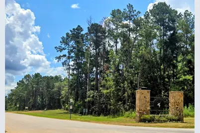 284 Iron Horse Road, New Waverly, TX 77358 - Photo 7