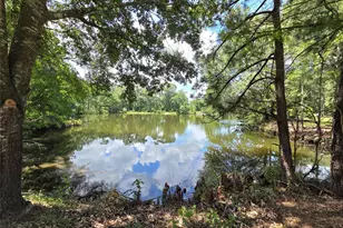 26815 E Fm 2090 Rd, Splendora, TX 77372 - Photo 35