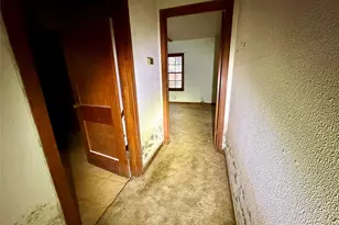 11018 Evangeline Dr, Houston, TX 77013 - Photo 7