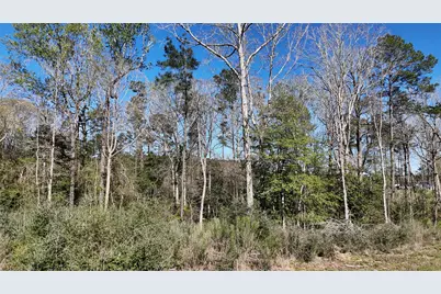 Tbd 8 & 9 Aggie Avenue, Livingston, TX 77351 - Photo 3