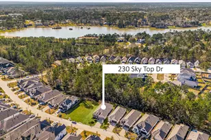 230 Sky Top Dr, Montgomery, TX 77316 - Photo 25