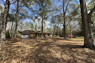 317 Bob Wills Rd, Livingston, TX 77351 - Photo 5