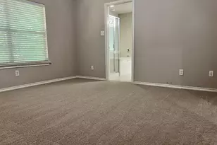 114 N Camellia Grove Cir, The Woodlands, TX 77382 - Photo 13