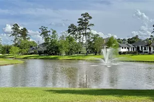 8103 Hideaway Lake Cir, Spring, TX 77389 - Photo 47