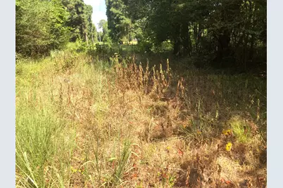 Tract 3.1 Sylvia Trail, Coldspring, TX 77331 - Photo 11