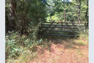 Tract 3.1 Sylvia Trail, Coldspring, TX 77331 - Photo 3